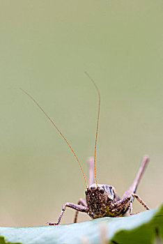 xổ số quảng nam