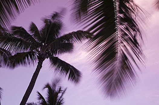 dự đoán lô đề chính xác