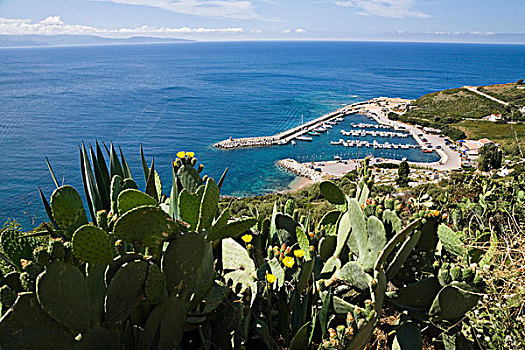 quay thu mb