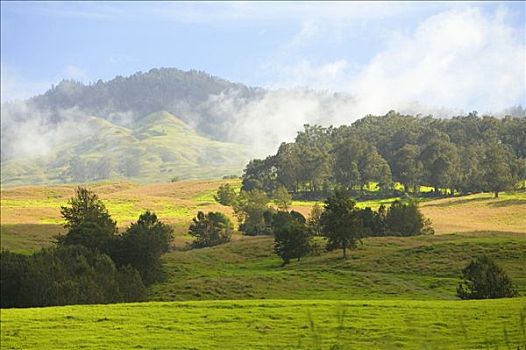 dự đoán kết quả xổ số đà nẵng
