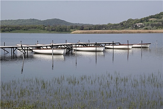 xsmb dại phát
