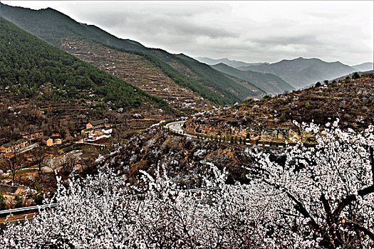 soi cầu thuận vũ