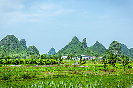 kqxs kien giang