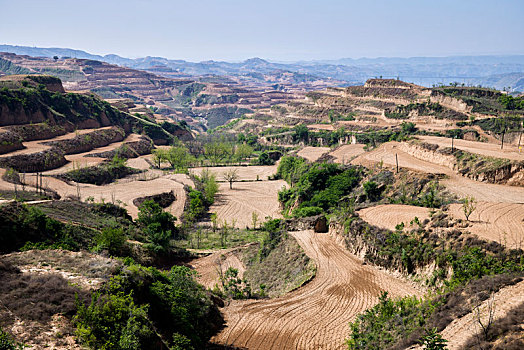 du doan chinh xac 100
