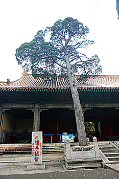 soi lô đề