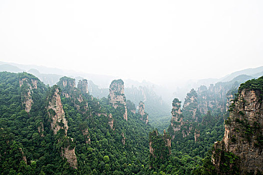 soi cau keo