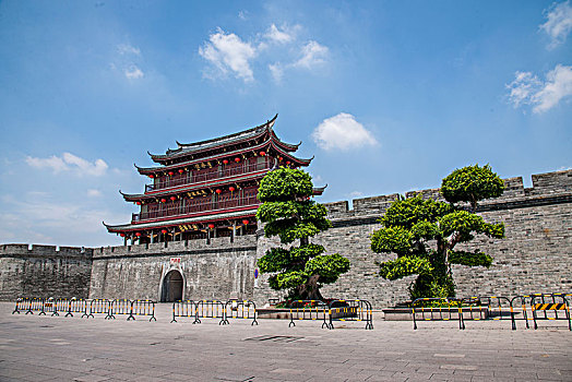 lô bạch thủ là mấy con