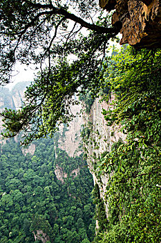 xs tiền giang