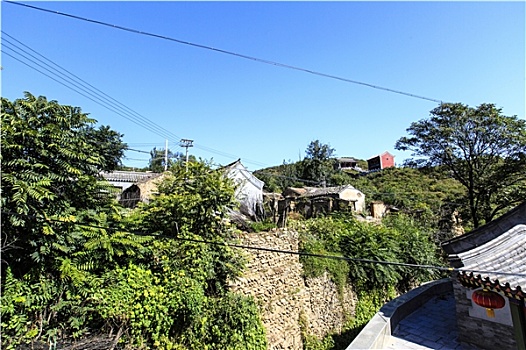 soi câu bach kim