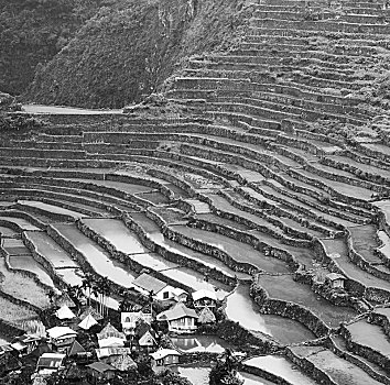 lô bạch thủ khung 3 ngày