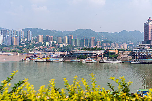 soi cau lo khung