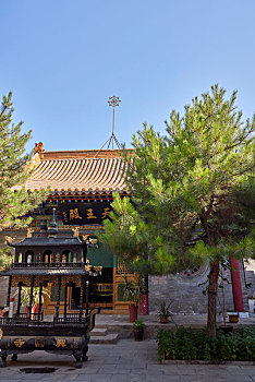 lo đề