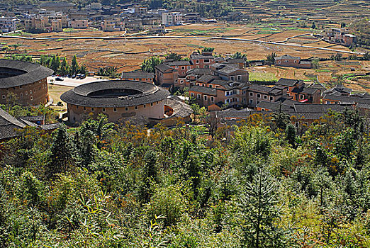soi câu bach thu