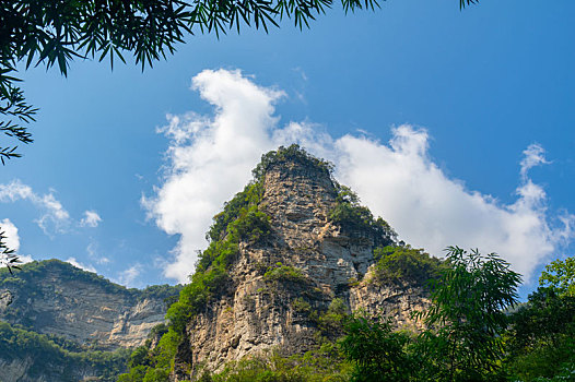 bach thu la