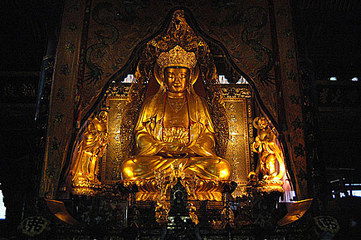 soi cau 9999