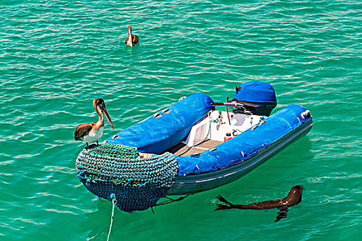 soi cầu long an