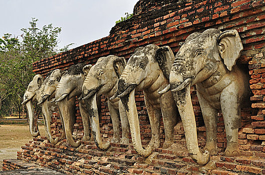 soi bạch thủ lô miền bắc