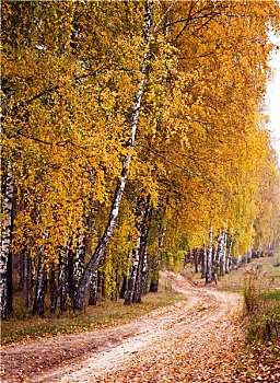 cầu bạch thủ