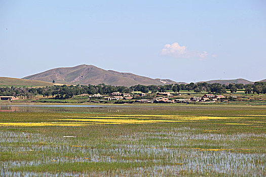 số gia lai