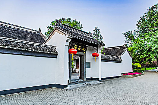 soi cau lo 888 mien phi