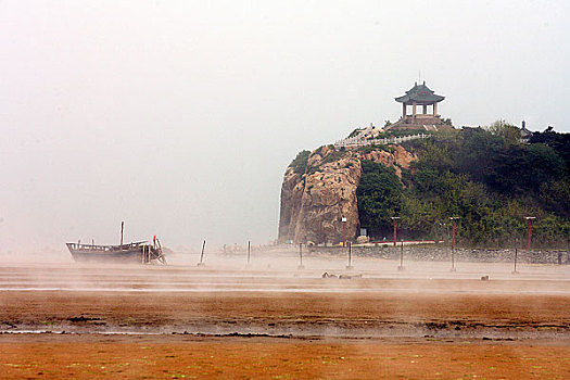 xs rong vang bach kim