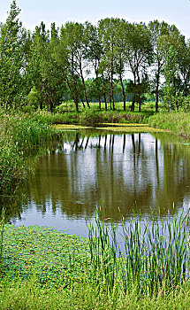 xs đà lạt