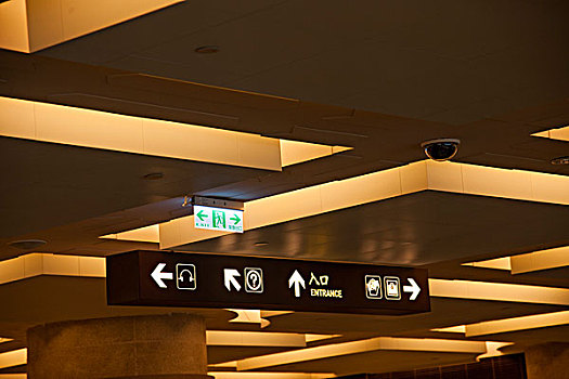 rong bach kim 88 99