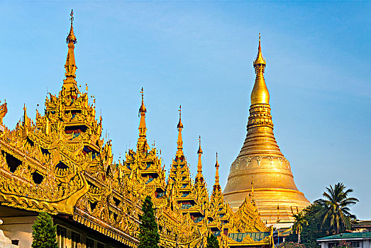 ban ca vip doi thuong ngay