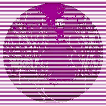 xsmb trưc tiêp