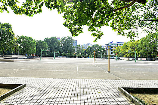 soi cầu ngày hôm nay