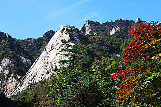 xổ số lâm đồng