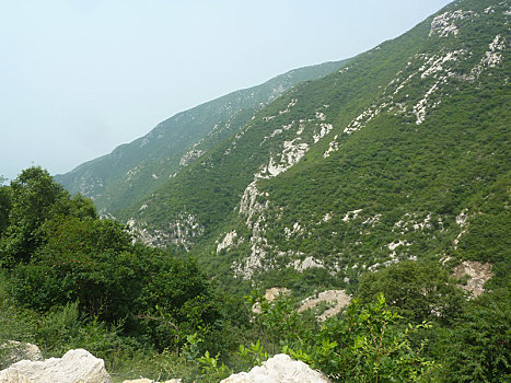đá gà thomo ngày 18 tháng 7