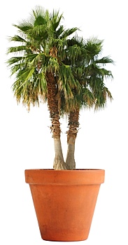 xin số lô đề hôm nay
