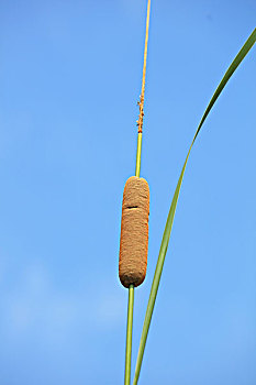 xổ số ninh thuận hôm nay