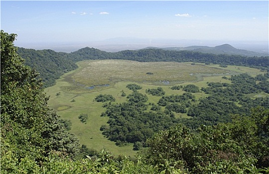 du doan than tai mn
