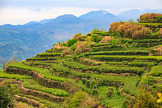 xổ số miền nam thứ