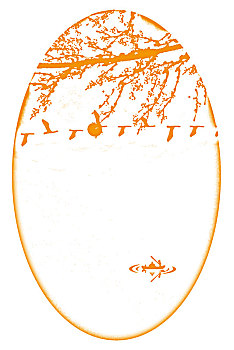 soi cau lo 24