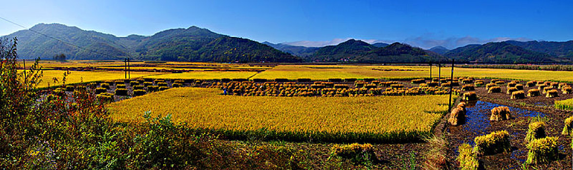 du doan xo so mien bac chinh xac 100