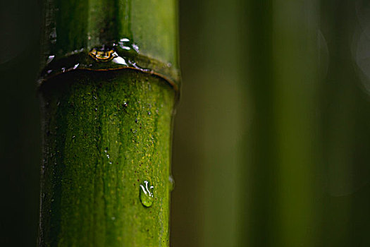 xskt đồng tháp