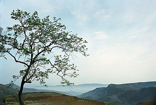 dự đoán xsmb hom nay
