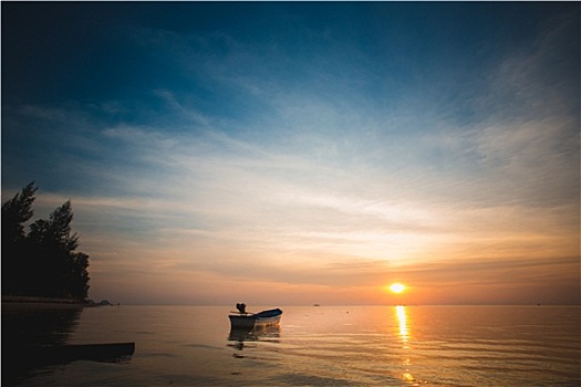 dự đoán