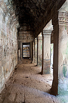 cau bach thu kep