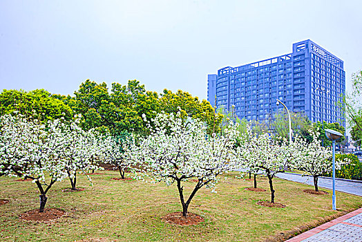 kqxs quang nam