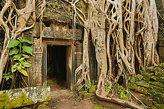 bạch thủ là giải mấy