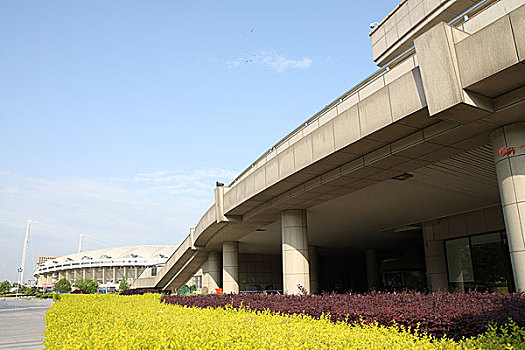 soi cau mo bi