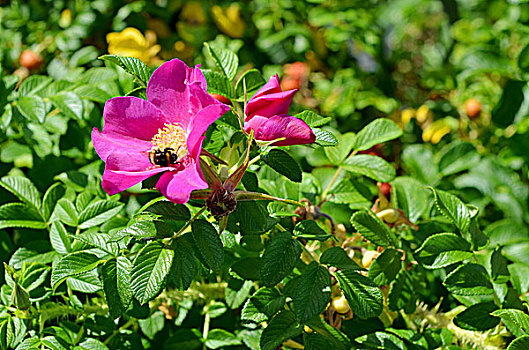 xsmn thứ 4