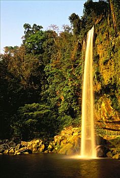 soi cau dai phat