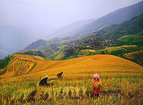 soi cầu lô bạch thủ