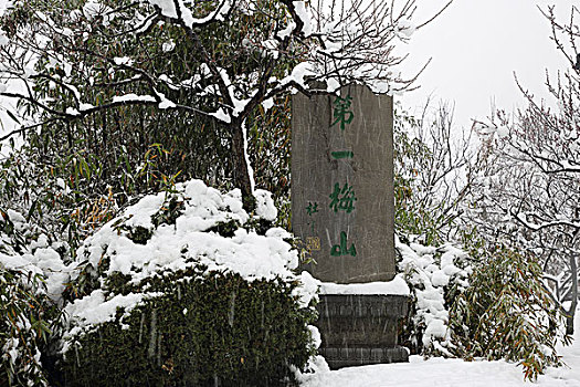 số phú yên