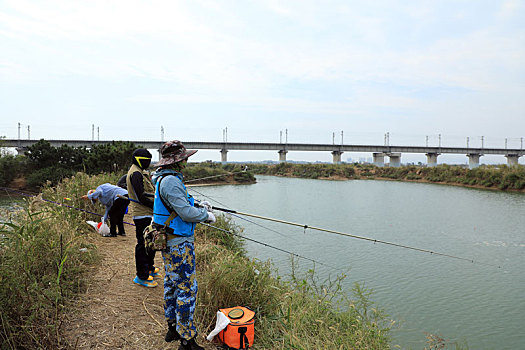 soi cau lo mien bac bach thu